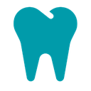 Dental Chart ( Odontology )