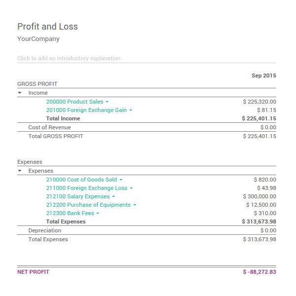 Profit and Loss Statement
