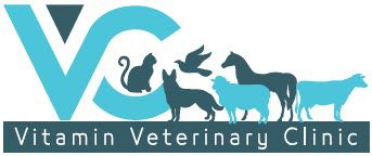 Vitamin Veterinary Clinic logo