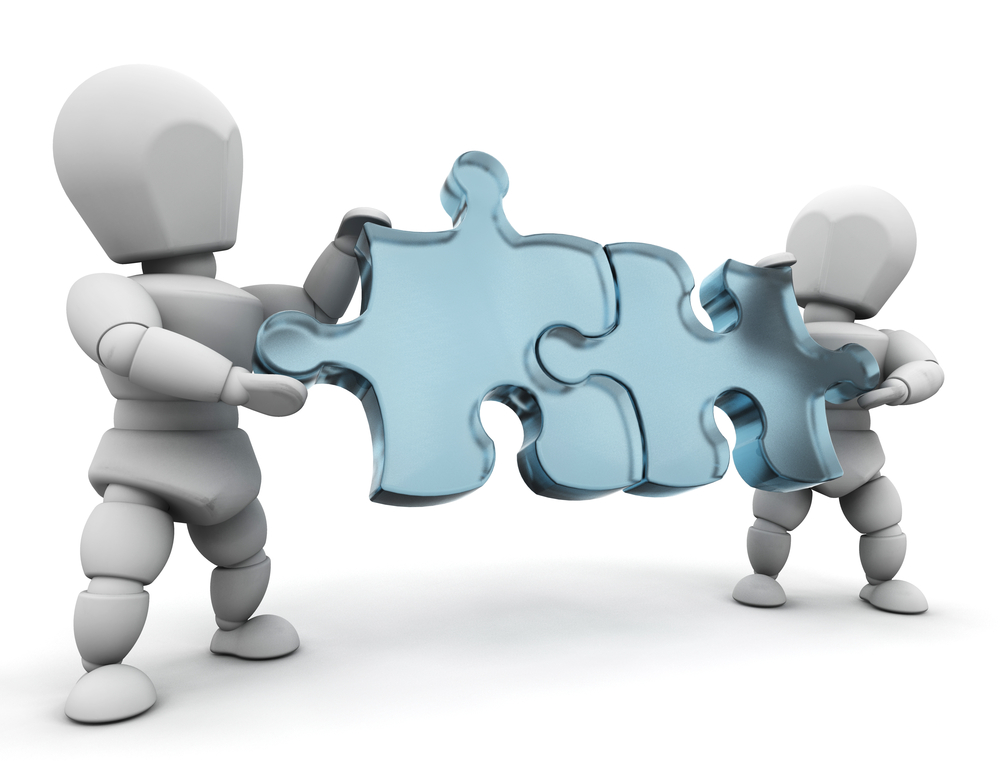 ERP Customization