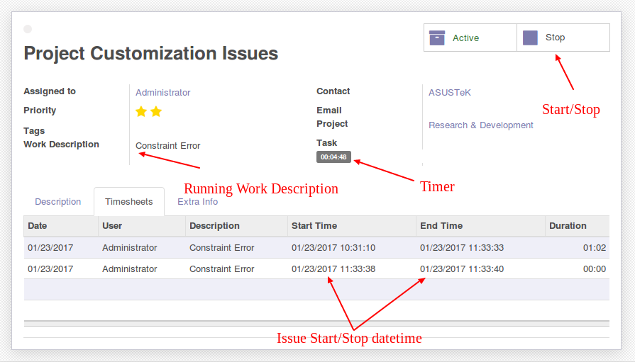 Issue Timesheet