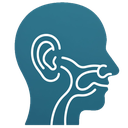 Ear, Nose & Throat (ENT) Management